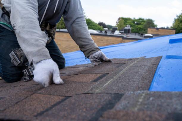 Best Metal Roofing Installation  in Leadwood, MO